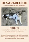 Piolho