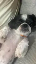 Ted