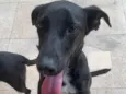 Zeca