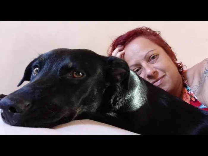 Cachorro ra a SRD-ViraLata idade 3 anos nome Leona 