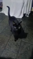 Mumuzinho 