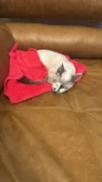 Desconhecido