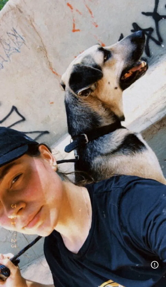 Cachorro ra a SRD-ViraLata idade 6 ou mais anos nome Supino