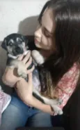Supino