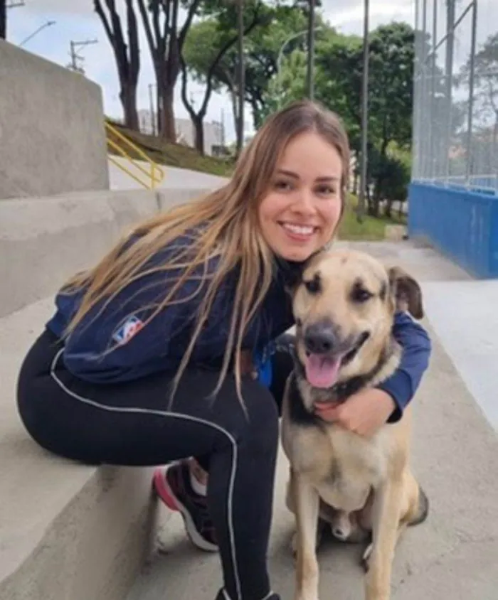 Cachorro ra a SRD-ViraLata idade 6 ou mais anos nome Supino