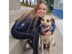 Cachorro raça SRD-ViraLata idade 6 ou mais anos nome Supino