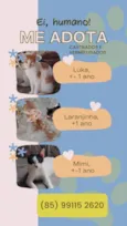 Bebê