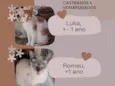 Bebê
