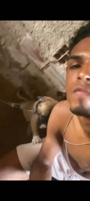 Cachorro raça SRD-ViraLata idade 2 a 6 meses nome Juliana maria 