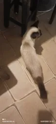 Nina