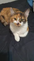 Leona