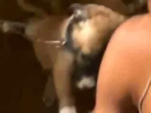 Cachorro raça SRD-ViraLata idade 2 a 6 meses nome Juliana maria 
