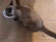Nina