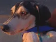Rodigo