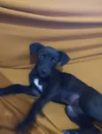 Nina