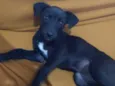 Nina
