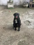 Tor