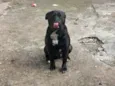 Tor