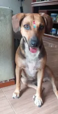 Nina