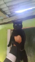 Davi