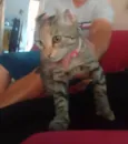 Marie