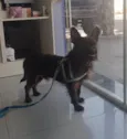 Pretinho