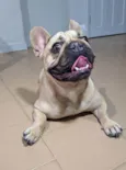 Hana