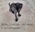 Nina