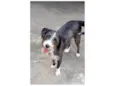 Zeca