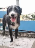Zeca