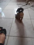 não tem nome ainda 