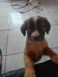 não tem nome ainda 