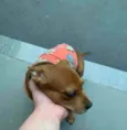 Lilo