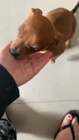 Lilo