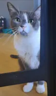 Sophie