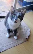 Sophie
