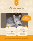 Tom