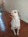 Thunder