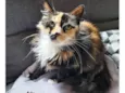 NÓI