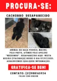 Neguinho