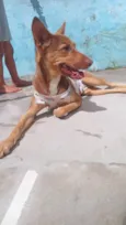 Mel