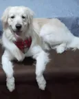 Marley