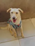 Feliz