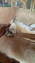 Fiona