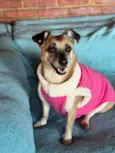 Fiona