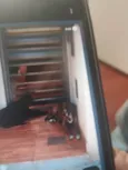 Preta e rajada