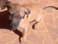 Pietra