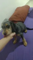 Não sei