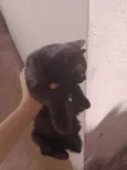 Não sei
