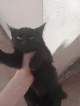 Não sei